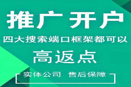 百度竞价SEM案例：揭秘高效广告投放技巧